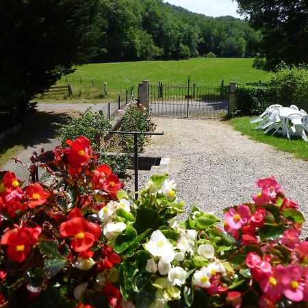 Gite Le Moulin Pres De Tarbes, Lourdes, Bagneres De Bigorre Mascaras Exteriör bild